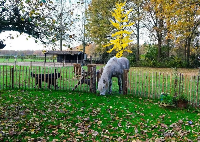 ' De ' Διαμέρισμα *