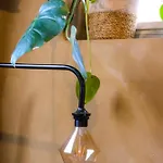 ' De ' Berlicum
