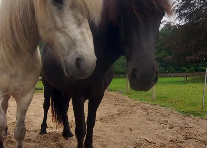Appartamento ' De ' Berlicum